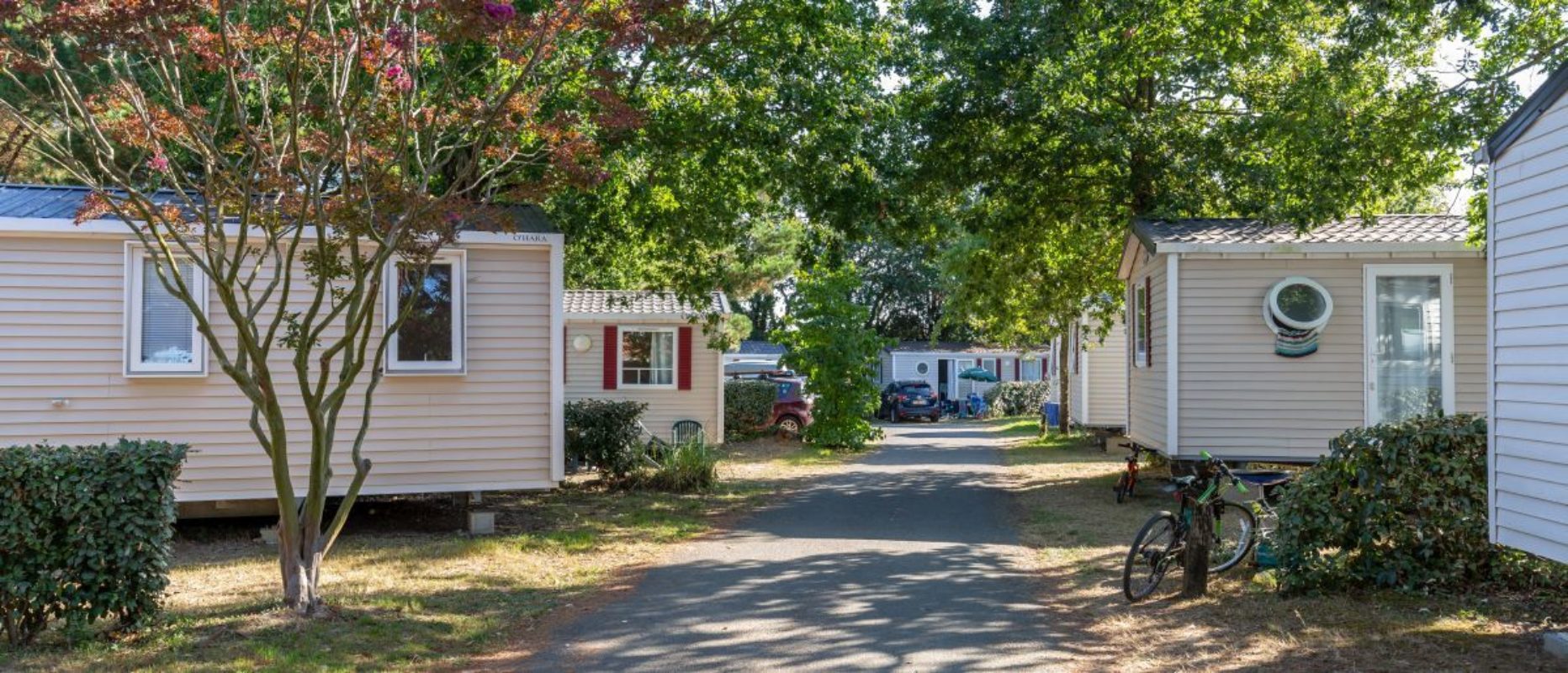 Ashglades general view