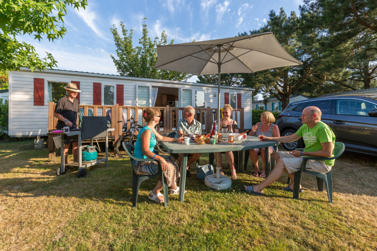 Evergreen and happy adults