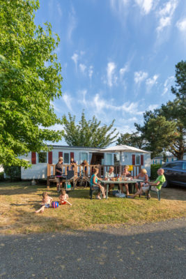 Evergreen and happy family portrait